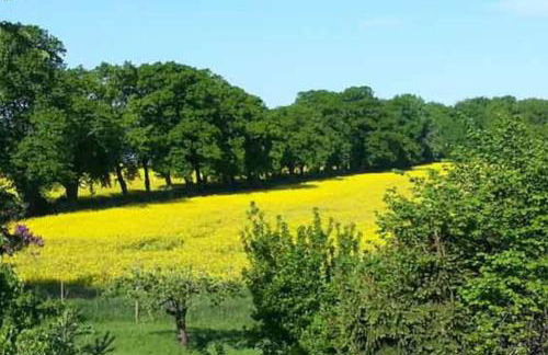 Ferienhaus für Zwei Gegenüber von Usedom - Foto 4