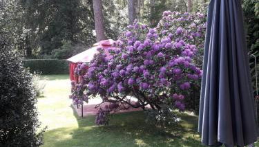 Ferienhaus am Langen See - Foto 3, Garden view