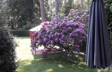 Ferienhaus am Langen See - Foto 3