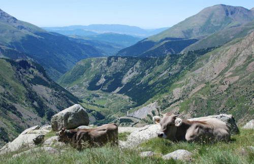 L'Estança de l'Era del Marxant - Foto 83