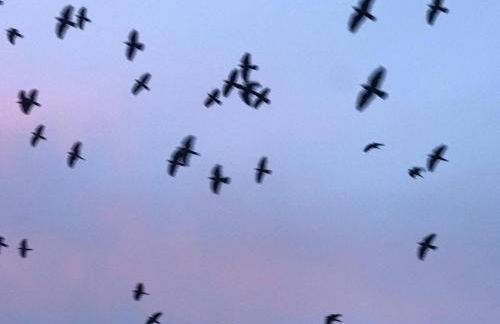 L'Olivier Fleurie Barjols - Foto 27