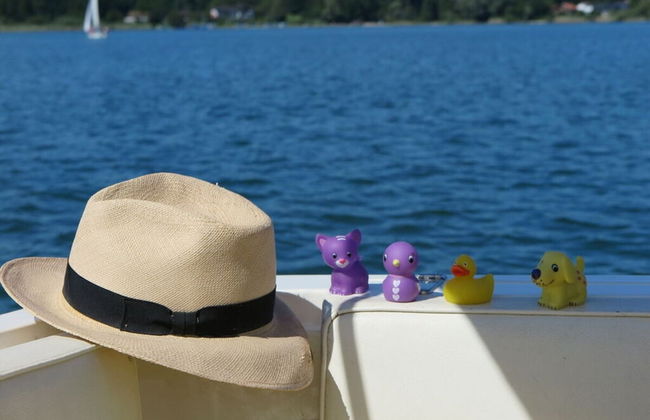 Waterval in het Huis Boshoek - Foto 36