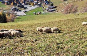 Le Loticeja - Photo 44