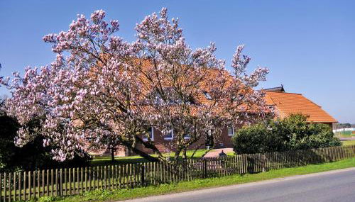 Landhaus - Hof Pakirnis - Foto 3