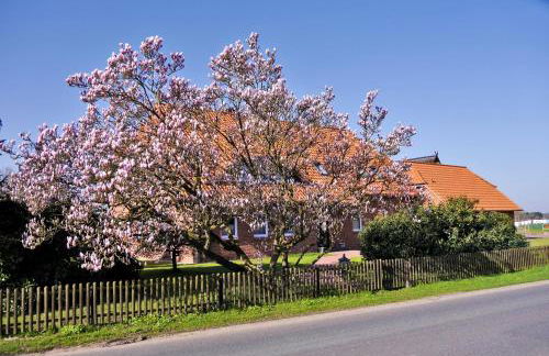 Landhaus - Hof Pakirnis - Foto 3