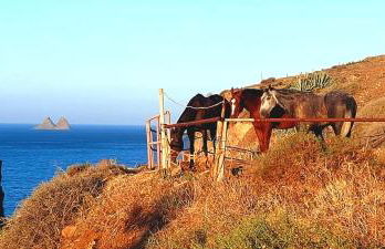 Anaga Manolo Natural House - Foto 56