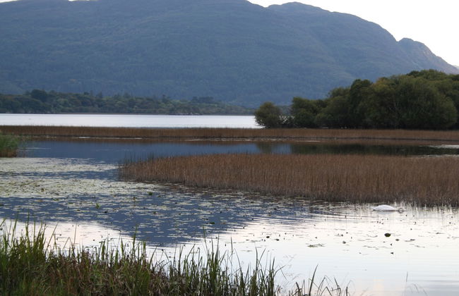 Innisfallen Holiday Homes - Foto 17