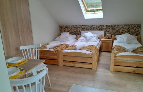 Apartamenty u Joli - Foto 33