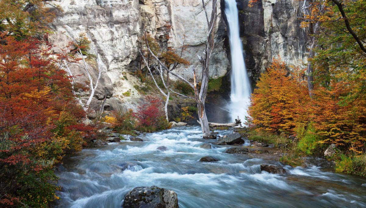 El Chalten and Mirador Condores Trip - Foto 1