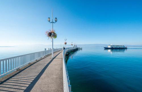 Petit chalet proche Lac Léman - Foto 20