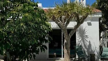 Magnífico Timón 8 - Foto 3