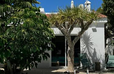 Magnífico Timón 8 - Foto 3