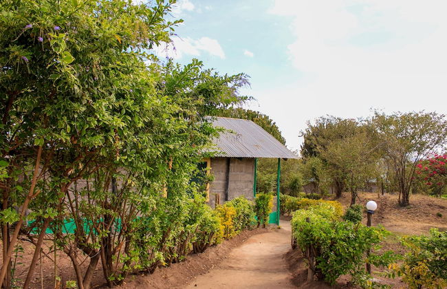 Mara Forest camp - Foto 1