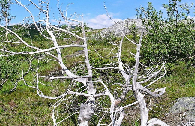 Holiday Home in Inndyr - Foto 20