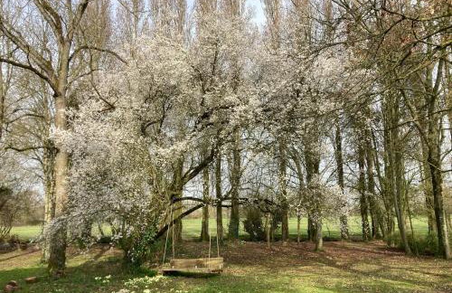 Chateau de la Preuille Gites - Foto 43