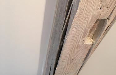 Ferienhaus Zur Mainpforte - Foto 18