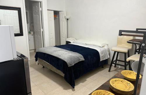 My Garden in Miami Florida - Photo 27