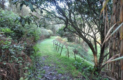 Quinta do Bom Vento - Photo 125