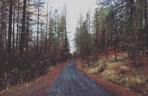 Beautiful Quiet Mountain Getaway, Amazing Views - Foto 8