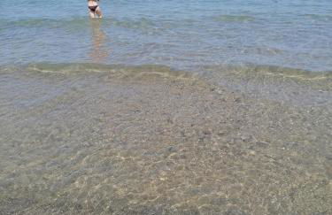 Stella marina - Foto 1