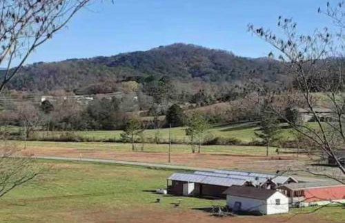 Peaceful Tiny Home - Mins to Bald River & Downtown - Foto 19