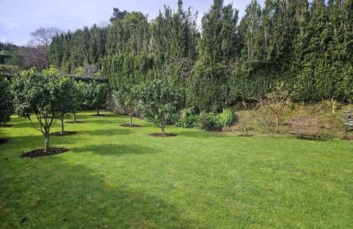 Casa do Simão - Photo 65