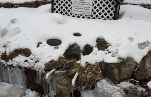 Toms Cabin On Lake Christopher - Foto 48