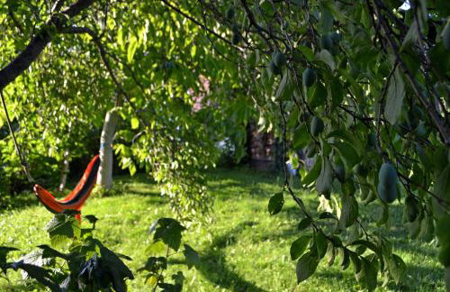 Na końcu świata - Foto 49