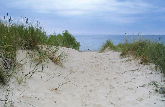 Doppelhaushalfte Strandhaus I in Trassenheide - Foto 30