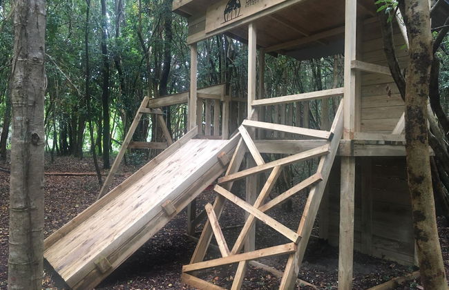 Cabañas Ensenada Bosque Nativo - Foto 41