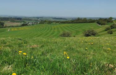 Idyllische Ferienwohnung nahe Nürburgring - Foto 11