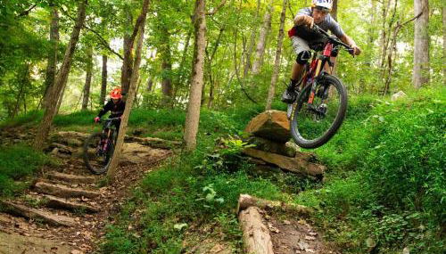 The Brownstone-1 Block to Downtown Bentonville - Foto 5