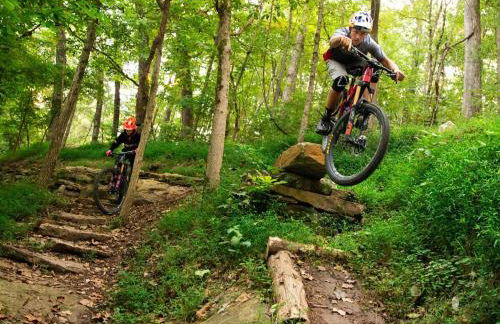 The Brownstone-1 Block to Downtown Bentonville - Foto 5