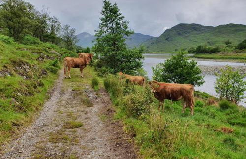 Clovullin Croftview Pod - Photo 16