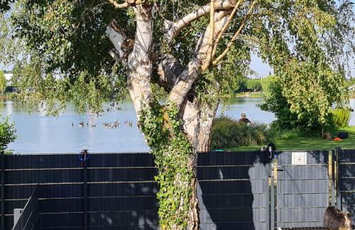 Ferienhaus Am See - Photo 52