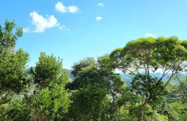 Vista Azul Apart Hotel - Vista Pedra Azul com Cozinha Compacta - Photo 5