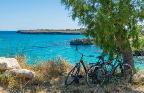 Cala Rafalino in S Illot-cala Morlanda - Photo 76
