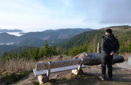 Schwarzwald-Ferienwohnungen Begert - Foto 34
