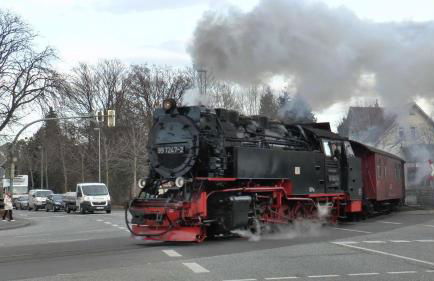 Waldrandzauber - Foto 40