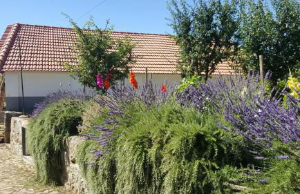 Quinta Do Acipreste (Antiga Quinta Da Torre) - Photo 24