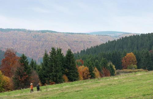 Charmante Ferienwohnung am Thüringer Rennsteig - Foto 33