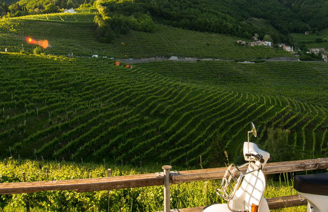 Tour in Monteriggioni - Photo 1