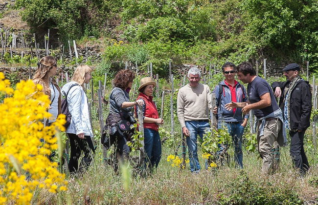 Etnella enoagriturismo Notti Stellate - Foto 27