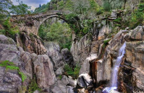 Ares Vieira - Foto 41