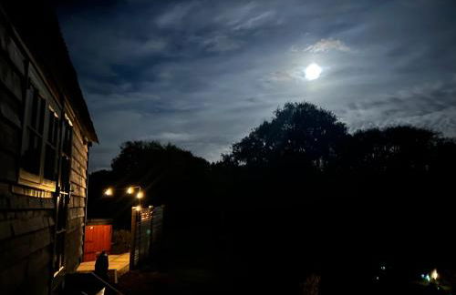 Cosy Owls Roost Hut With Private Hot Tub - Foto 63