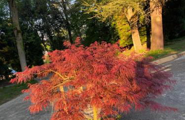 Cosy Er Lann Gîte Cèdre - Foto 49