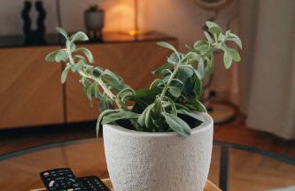 Charmant and Exclusive Apartments im Herzen Saarbrückens - Foto 14