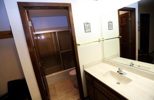 Updated Mammoth condo on Red line - Photo 10