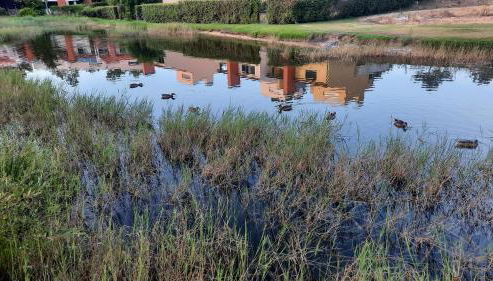 Villa do Lago - Foto 3