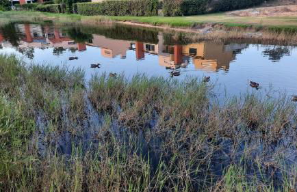 Villa do Lago - Foto 3